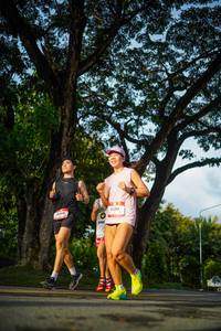 BIB: 
                            <button type="button" onclick="openModal(26551493)" class="btn btn-primary btn-sm float-right btn-popup" data-toggle="modal" data-target=".modal-high-quality">
                        <i class="fas fa-shopping-cart"></i> Add to Cart
                    </button>
                                            <button type="button" onclick="isThisMe(26551493, true)" class="btn btn-success btn-sm float-right btn-popup btn-isme hidden" data-toggle="tooltip" data-placement="bottom" title="นี่คือรูปของคุณใช่ไหม คลิกที่นี่เพื่อเอาเข้าอัลบั้ม">
                        <i class="fas fa-plus"></i> Add to album
                    </button>
                    <button type="button" onclick="isThisMe(26551493, false)" class="btn btn-warning btn-sm float-right btn-popup btn-isnotme hidden">
                        <i class="fas fa-ban"></i> Remove from album
                    </button>